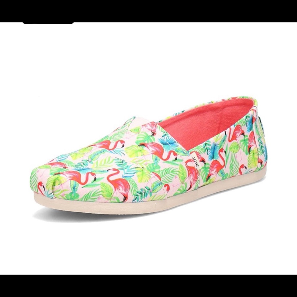 Womens Limited Edition Flamingo Toms